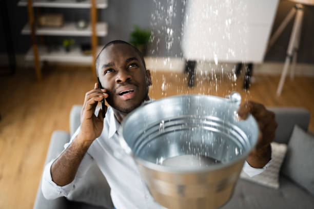 Best Water damage mitigation services  in Polk City, IA