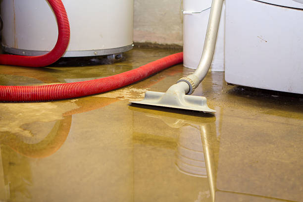 Best Basement water damage restoration  in Polk City, IA